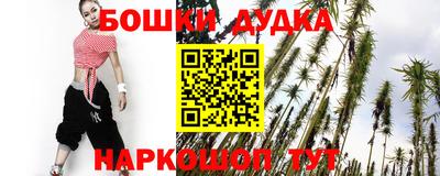 бошки Гатчина