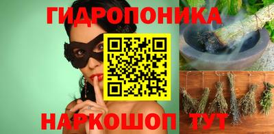 гашик Гагарин